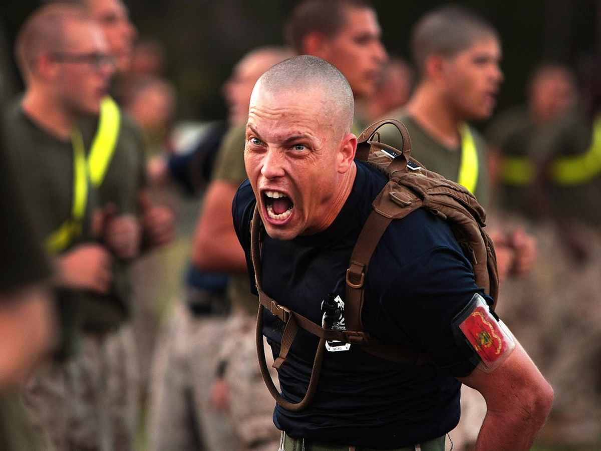 Getting the Lowdown on the Tactic Plate&nbsp;Carrier